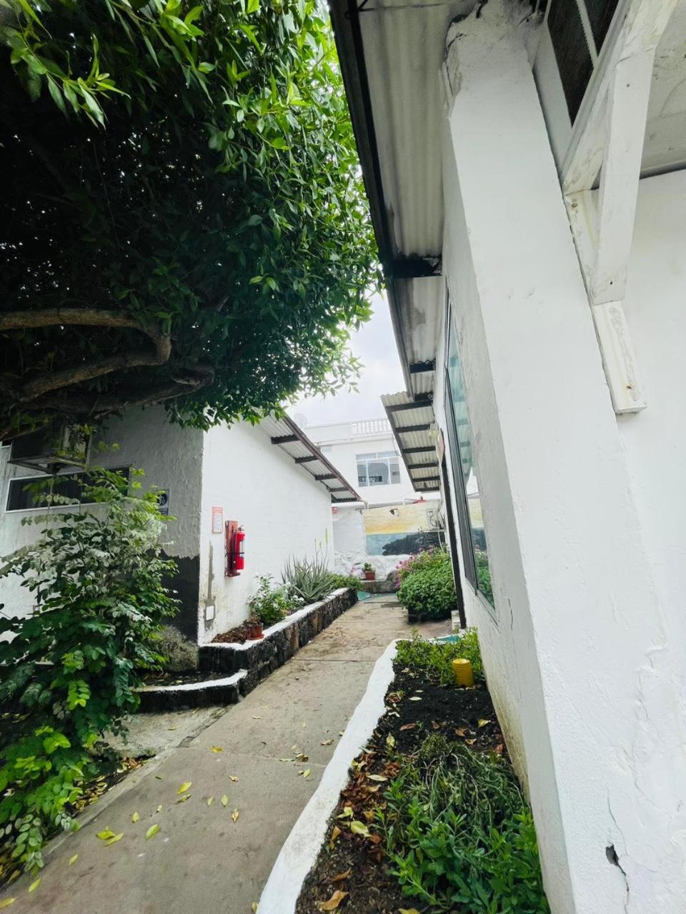 Hospedaje Darwin B&B Puerto Ayora  Buitenkant foto